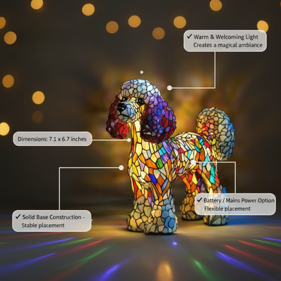 克莉絲塔爾‧弗萊姆